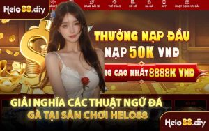 Giải Nghĩa Các Thuật Ngữ Đá Gà Tại Sân Chơi Helo88