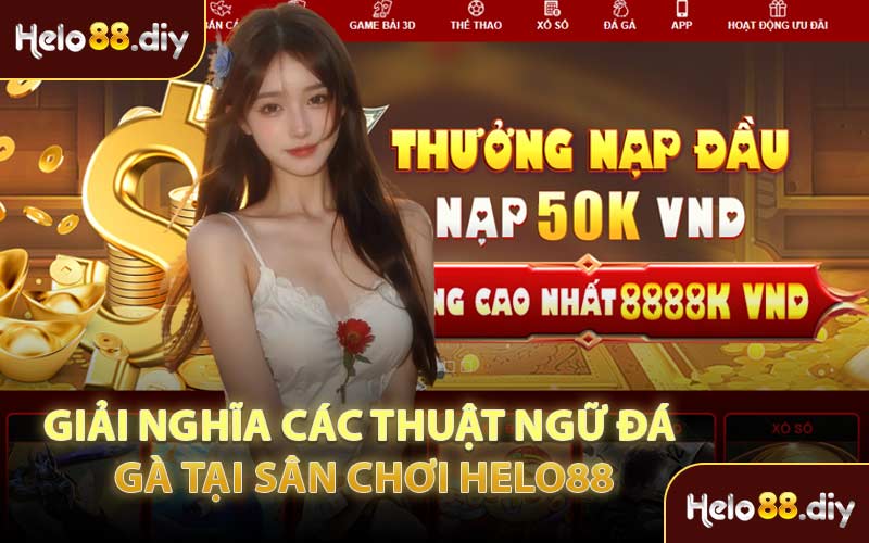 Giải Nghĩa Các Thuật Ngữ Đá Gà Tại Sân Chơi Helo88